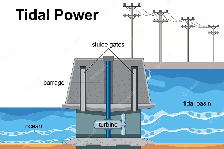 IELTS Builder - Tidal Power